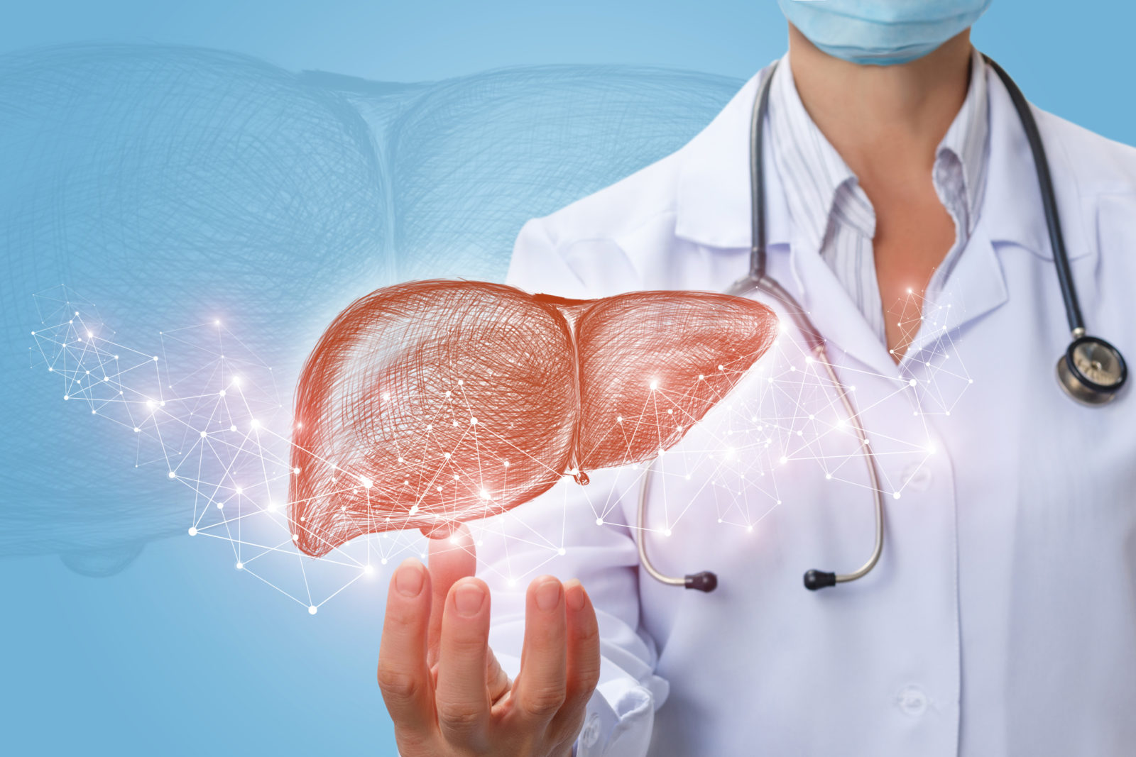 hepatologia
